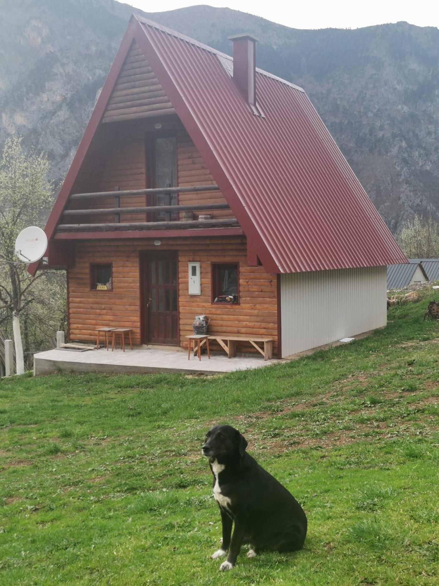 Ethno Cottage Momo Tepca Žabljak Δωμάτιο φωτογραφία
