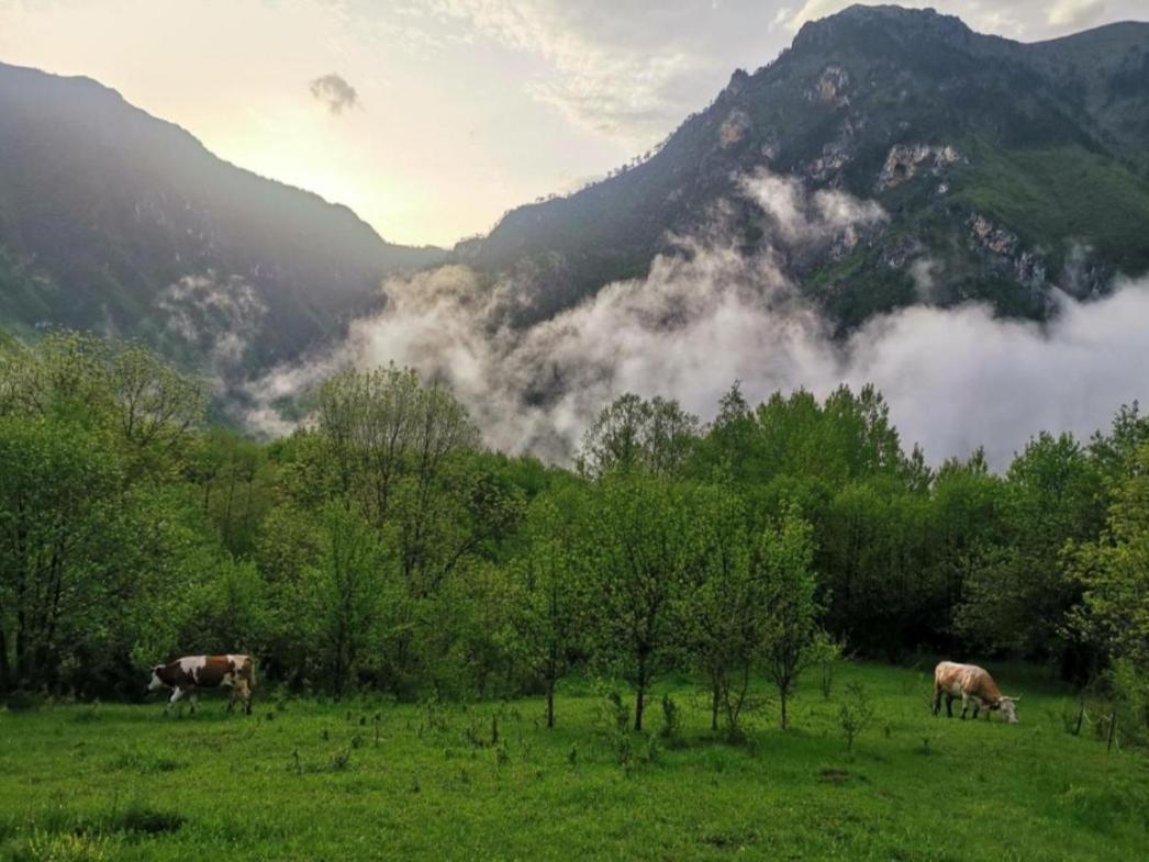Ethno Cottage Momo Tepca Žabljak Εξωτερικό φωτογραφία